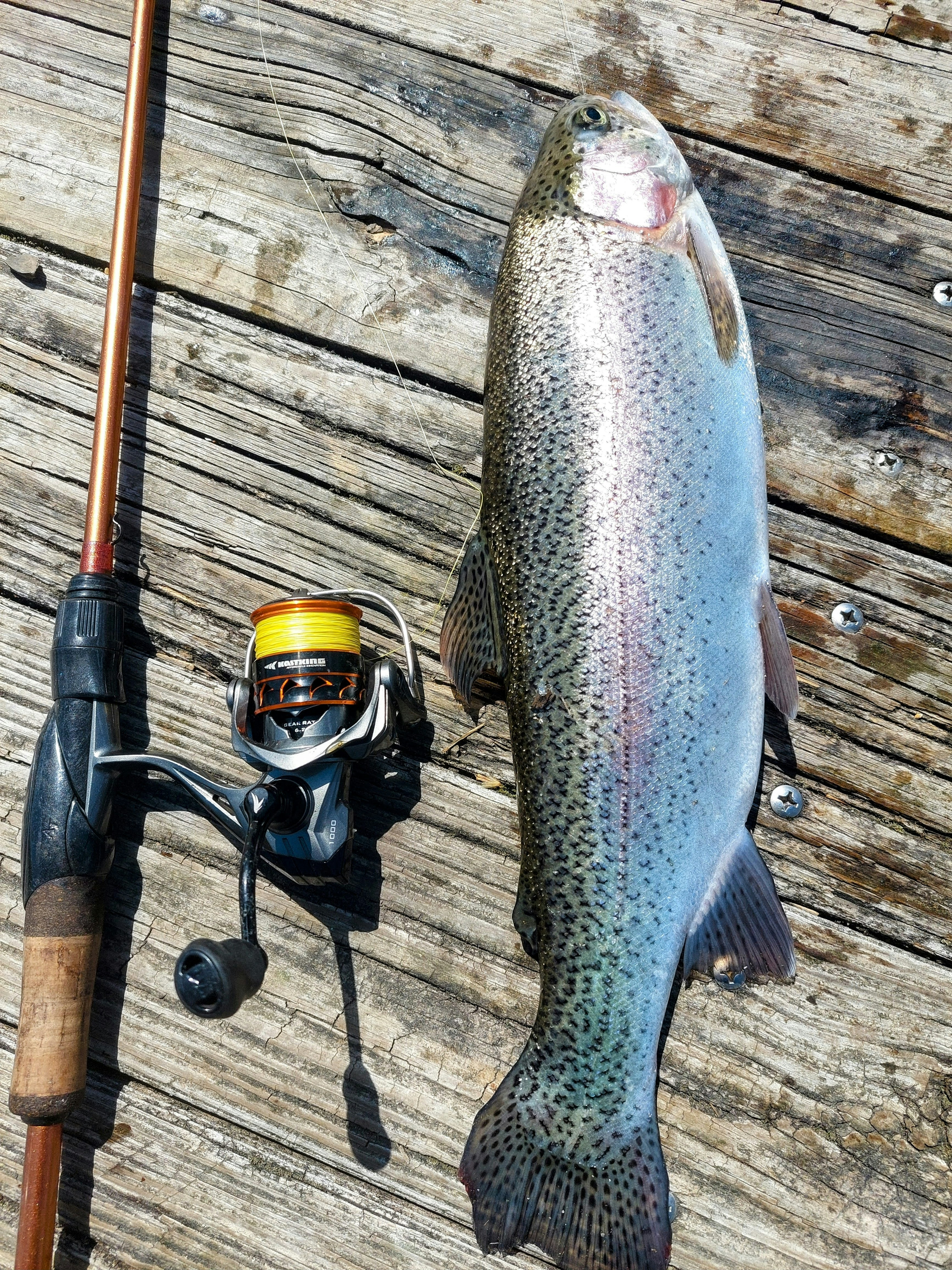 Best Ice Fishing Rods and Combos of 2026: 6 Practical Picks for Panfish, Walleye, and Pike