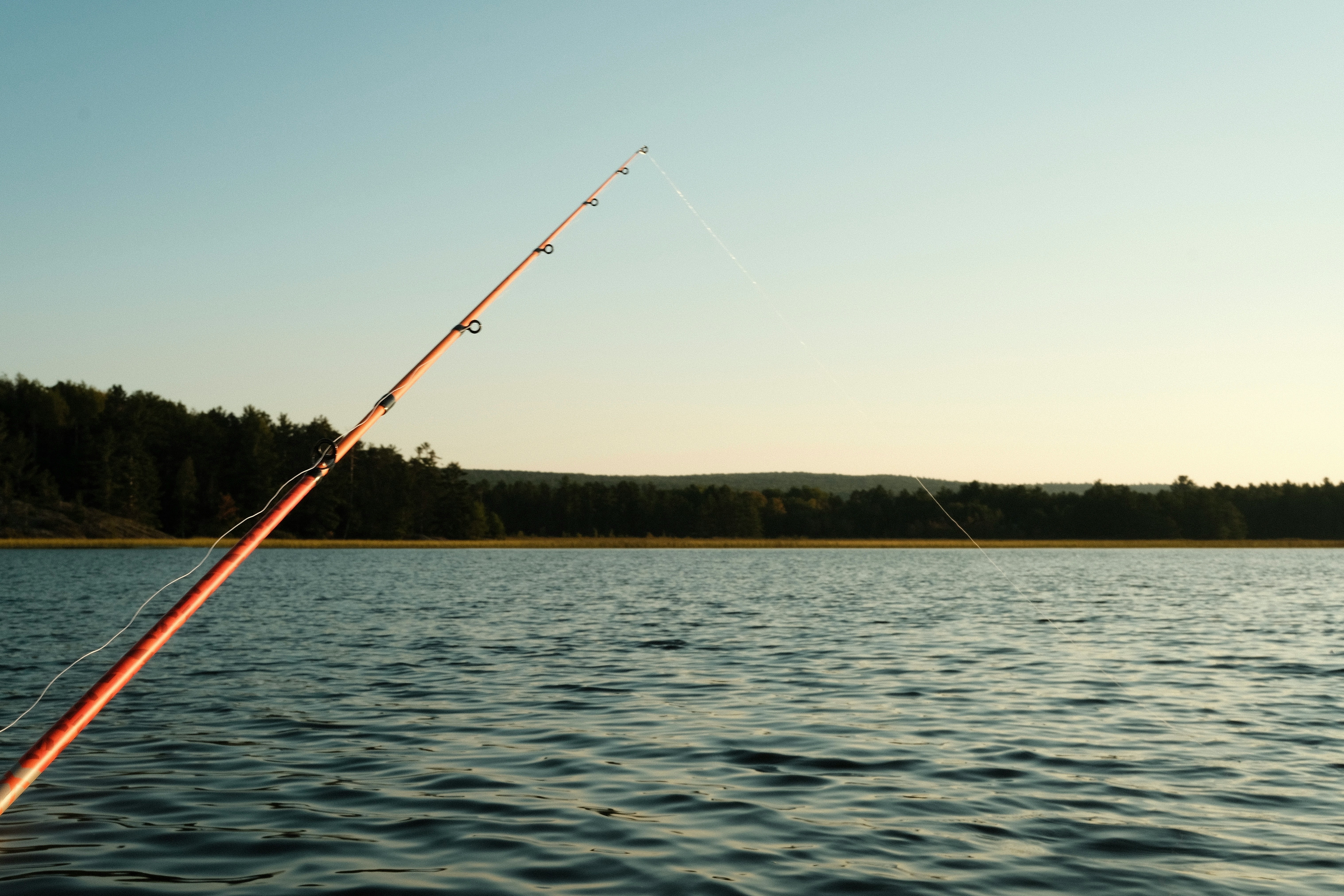 Bladed Jig Fishing in Grass for Bass: A 2026 Guide to Cleaner Retrieves, Better Hookups, and Fewer Wasted Casts