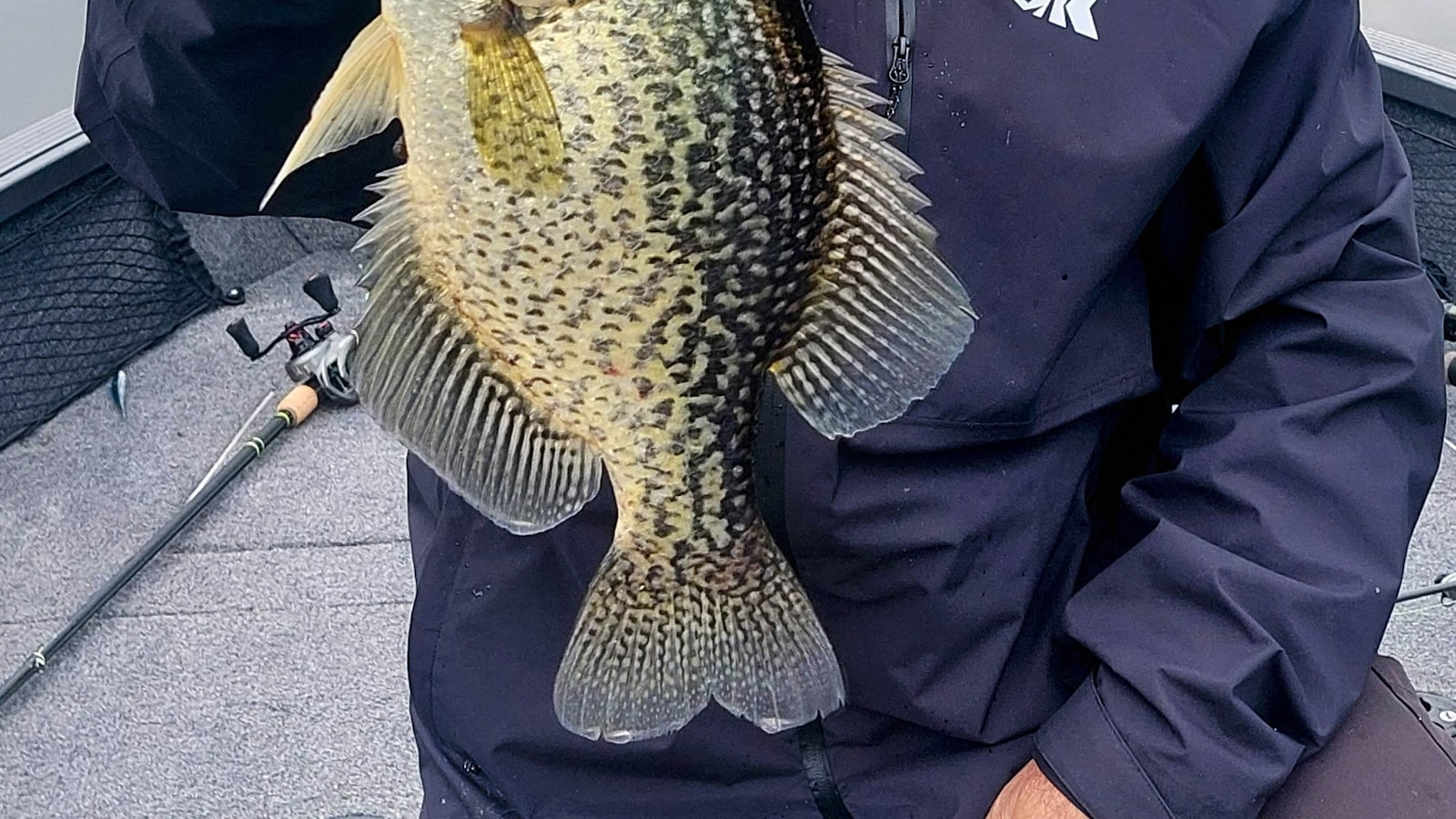How to Catch Crappie: A Practical 2026 Guide for Brush, Docks, and Seasonal Moves