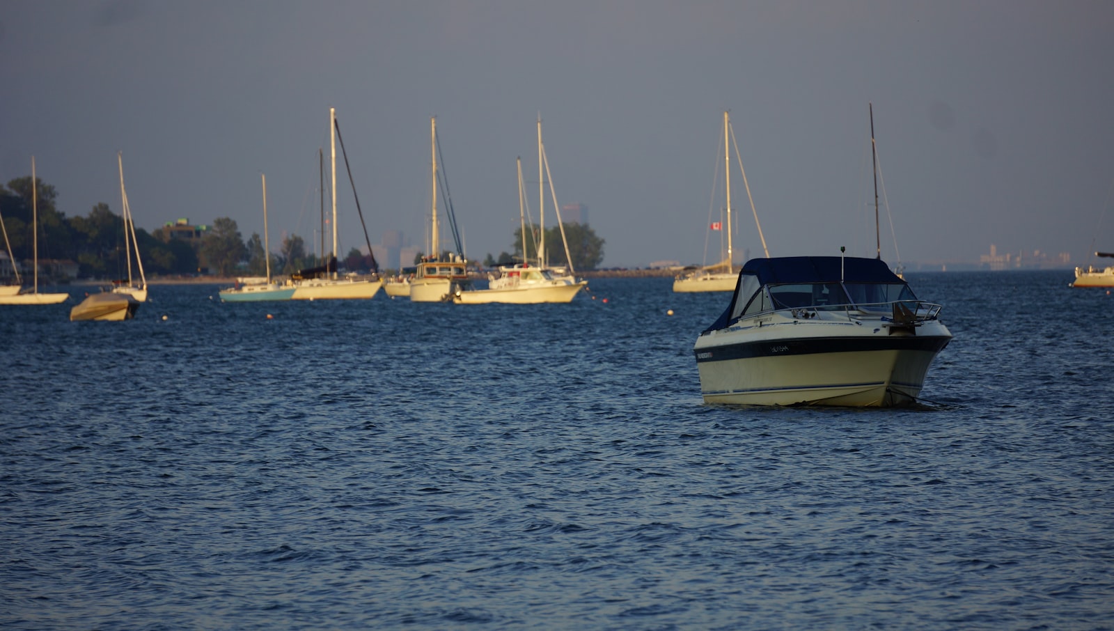 Lake Erie Fishing Guide: Where to Launch, What Bites, and How to Plan the Trip Right
